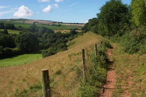 Coleridge Way walking holiday in UK with Lets Go Walking